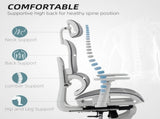 Multi-Adjustable Mesh Office Chair - Grey and White T3398P424985