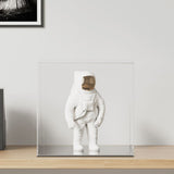 Display Box Transparent 40x36x35 cm Acrylic 154905