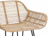 Bar Chair 2 pcs 55 x 52 x 105 cm Rattan and Iron 42011553
