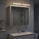 Bathroom Mirror Cabinet White 63.5 x 16 x 62.5 cm 889159