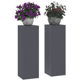 Plant Stand 2 pcs Anthracite 24 x 24 x 75 cm Steel 865822