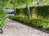 Lawn Edging 10 pcs 103 x 10 cm Steel Anthracite 8008330