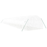 Greenhouse with Steel Frame White 60 m² 20x3x2 m 3188058