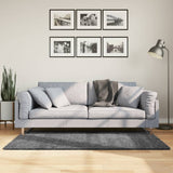 Rug OVIEDO Short Pile Anthracite 120x170 cm 375468