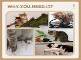 Cat Tree 27324771