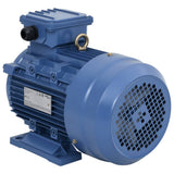3 Phase Electric Motor Aluminium 3kW/4HP 2 Pole 2840 RPM 148005
