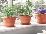 Plant Pots 24 pcs Brick Red 22 x 18 cm Plastic 3403280