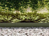Lawn Edging 30 pcs Olive Green 100 x 0.05 x 20 cm 865957