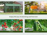 Mini Walk-in Greenhouse 19903596