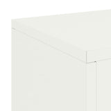 Plant Stand 2 pcs White 24 x 24 x 35 cm Steel 865807