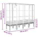 ZNTS Raised Bed with Greenhouse Cover Rattan Look 160x40x140 cm 4015835