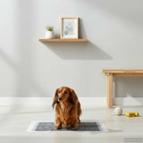 Non-woven Fabric Pet Training Pad 400 pcs 60 x 60 cm 42025311