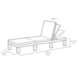 ZNTS Keter Sunlounger with Cushion Daytona Graphite 441306
