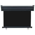 ZNTS Balcony Side Awning 105x250 cm Black 48412
