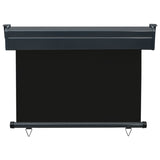 ZNTS Balcony Side Awning 105x250 cm Black 48412