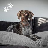 ZNTS Madison Dog Lounge Velvet 120x90x15 cm Grey 444465