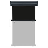 ZNTS Balcony Side Awning 105x250 cm Black 48412