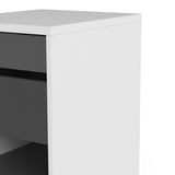 Function Plus Mobile file cabinet 2 drawers + 1 shelf 7197048149CN