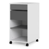 Function Plus Mobile file cabinet 2 drawers + 1 shelf 7197048149CN