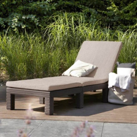 ZNTS Keter Sunlounger with Cushion Daytona Brown 441307