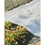 ZNTS Nature Plant Cover 4x6 m 200µ Transparent 446381