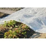 ZNTS Nature Plant Cover 4x6 m 200µ Transparent 446381