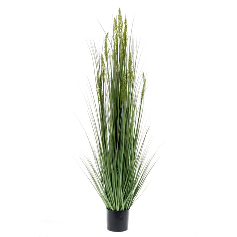 ZNTS Emerald Artificial Grain Grass 150 cm 423617
