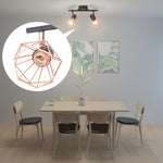 ZNTS Ceiling Lamp with 2 Spotlights E14 Black and Copper 244389