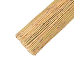 ZNTS Bamboo Fence 300x150 cm 142684