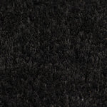 ZNTS Doormats 2 pcs Coir 24 mm 50x80 cm Black 132656