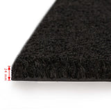 ZNTS Doormats 2 pcs Coir 24 mm 50x80 cm Black 132656