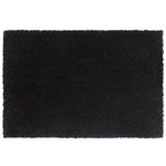 ZNTS Doormats 2 pcs Coir 24 mm 50x80 cm Black 132656