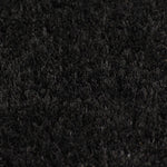 ZNTS Doormat Coir 24 mm 100x100 cm Black 132658