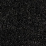 ZNTS Doormat Coir 24 mm 100x300 cm Black 132660