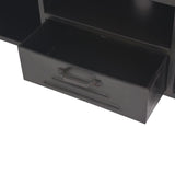ZNTS TV Cabinet 120x30x43 cm Black 245456