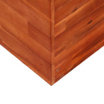 ZNTS Garden Raised Bed Acacia Wood 100x50x100 cm 44031