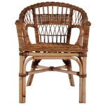 ZNTS Outdoor Chair Natural Rattan Brown 246809