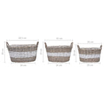 ZNTS Raised Bed 3 pcs Wicker with PE Lining 246831