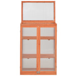 ZNTS Greenhouse Wood 75x47x109 cm 170646