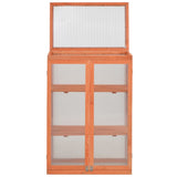 ZNTS Greenhouse Wood 75x47x109 cm 170646