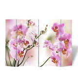 ZNTS Folding Room Divider 217x170 cm Flower 240481