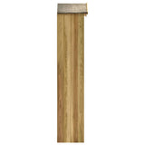 ZNTS Garden Tool Shed 36x36x163 cm Impregnated Pinewood 46357