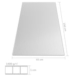 ZNTS Polycarbonate Sheets 2 pcs 10 mm 150x65 cm 146222