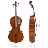 ZNTS Cello Full Set with Bag and Natural Hair Bow Dark Wood 4/4 70144