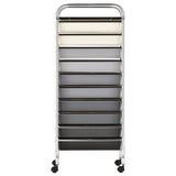 ZNTS XXL 15-Drawer Mobile Storage Trolley Ombre Plastic 320409