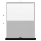 ZNTS Floor Rising Projection Screen 72" 4:3 51350