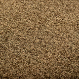ZNTS Doormat Washable Brown 120x180 cm 323438
