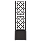 ZNTS Garden Raised Bed with Trellis and Self Watering System Anthracite 313965