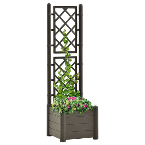 ZNTS Garden Planter with Trellis 43x43x142 cm PP Anthracite 313981