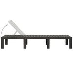 ZNTS Sun Lounger Plastic Anthracite 315827
